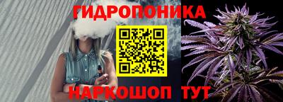 2c-b Камышлов
