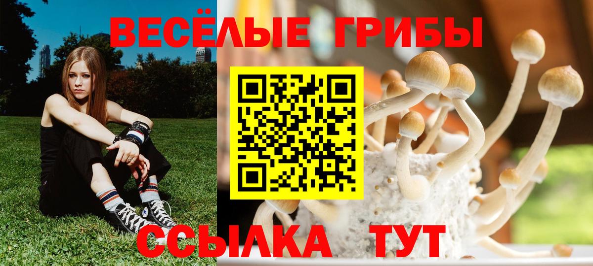 Галлюциногенные грибы Cubensis  Вход с VPN  Кириши 